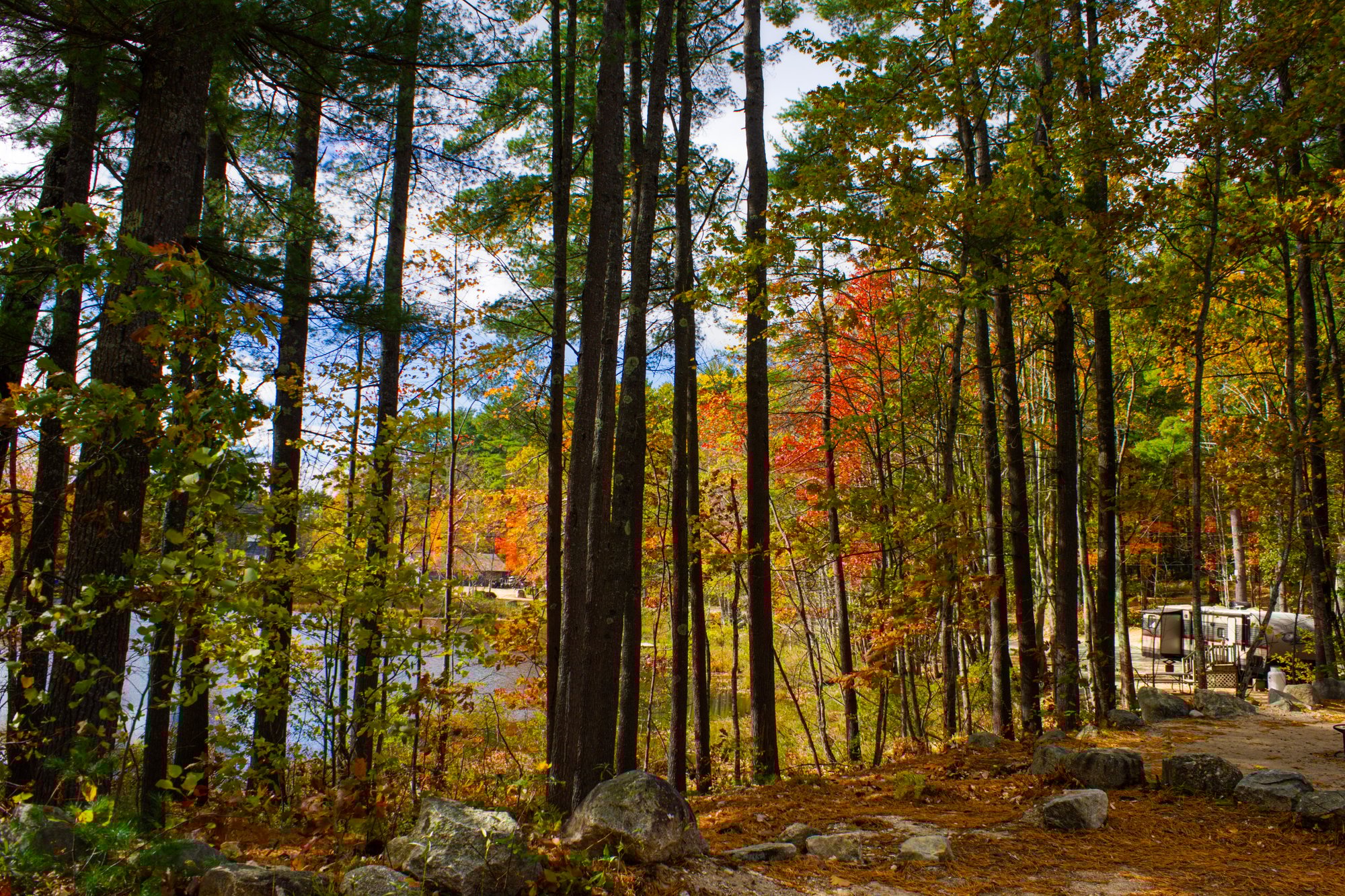 Take your park to the next level with RMS, the PMS that gives you more