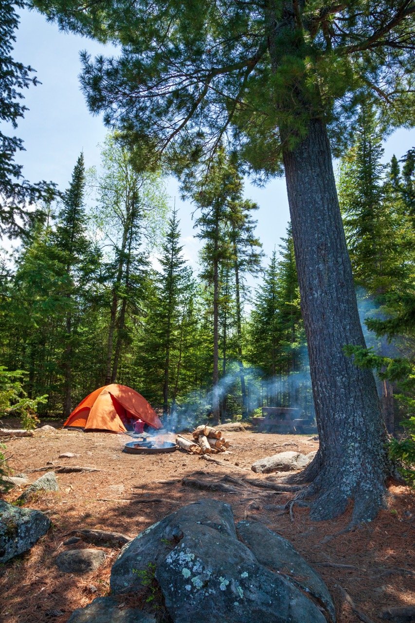 AdobeStock_499854880 Large