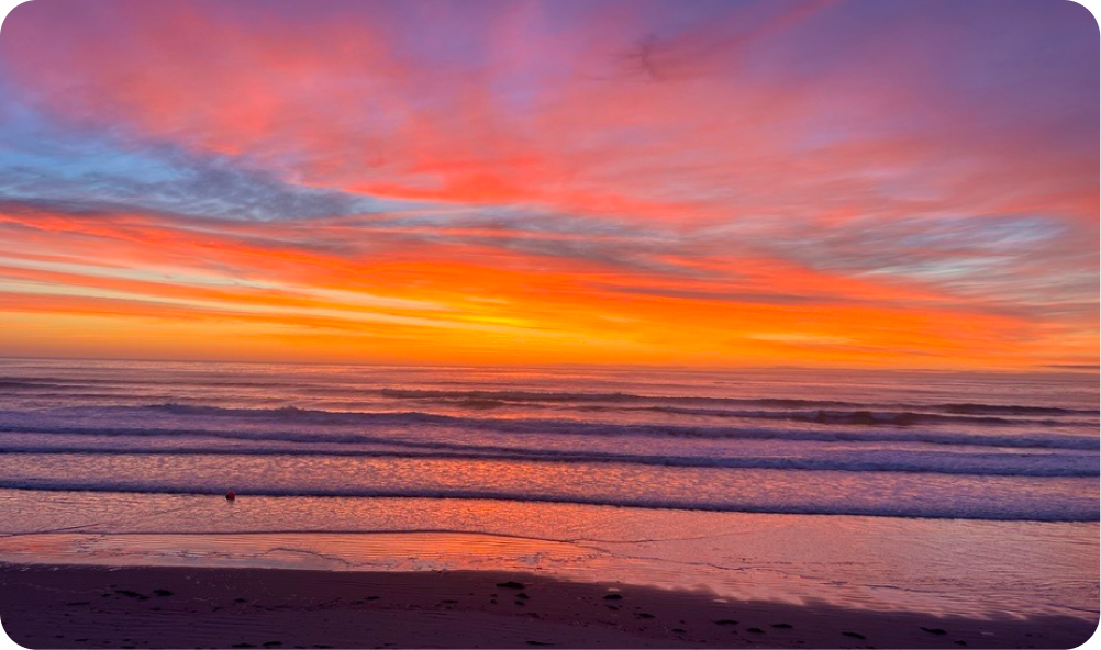 Featured image Lafayette Hotels Linktree 4