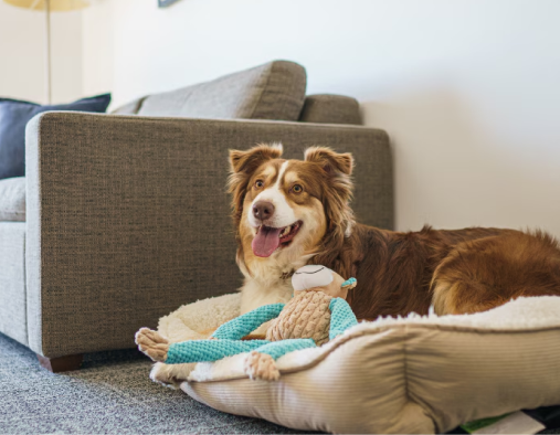 MainStay case study - the needs 3