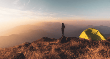 More guests, fewer nights, higher expectations: what Aussie parks can expect for the year ahead image