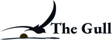 the gull logo