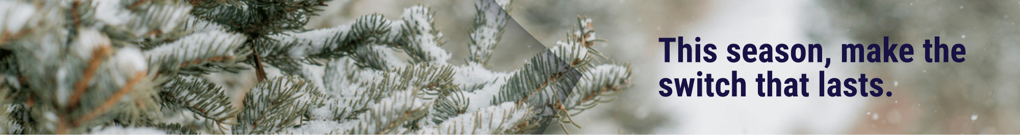 Switch from Campspot to RMS Switch from Campspot to RMS