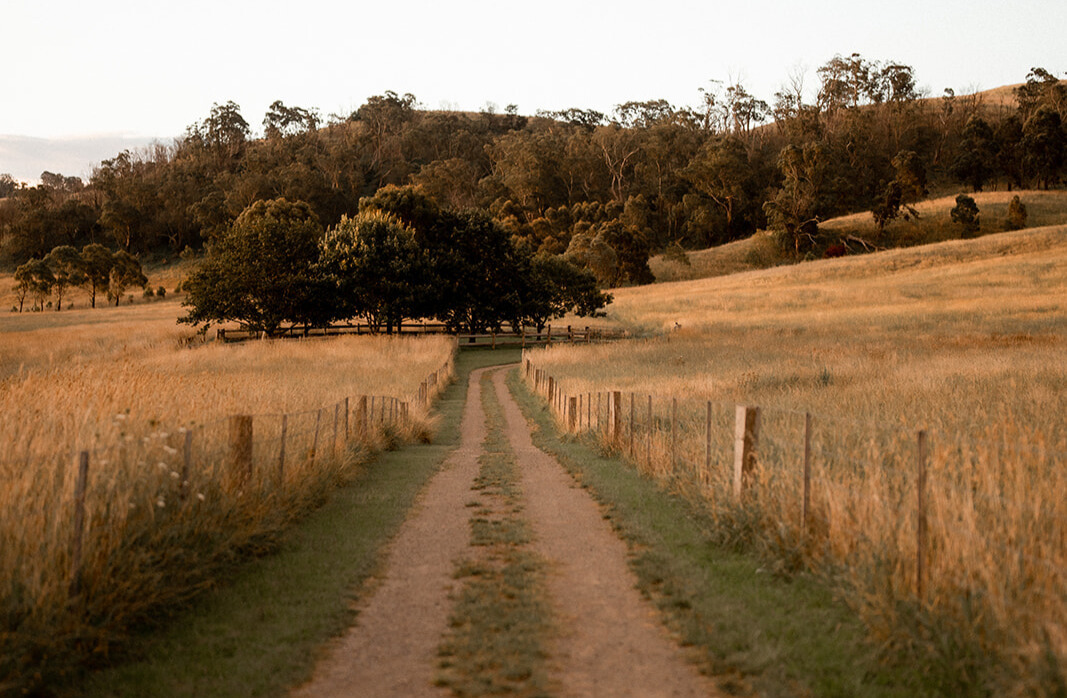 Countryside around Bendooley Estate