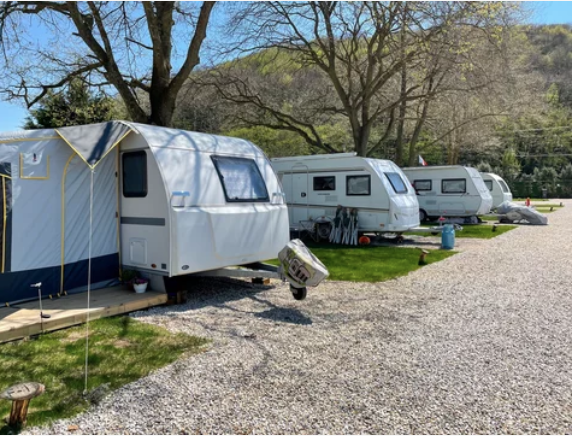Row of RVs parked in a campground surrounded by trees.