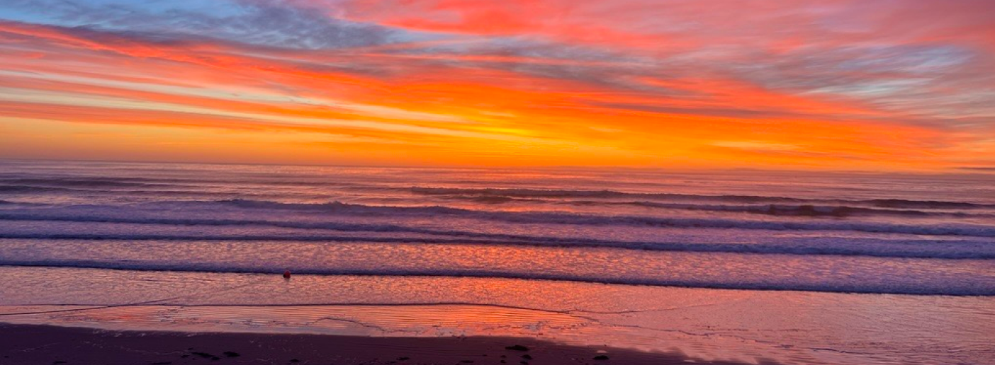 Lafayette Hotels Sunrise