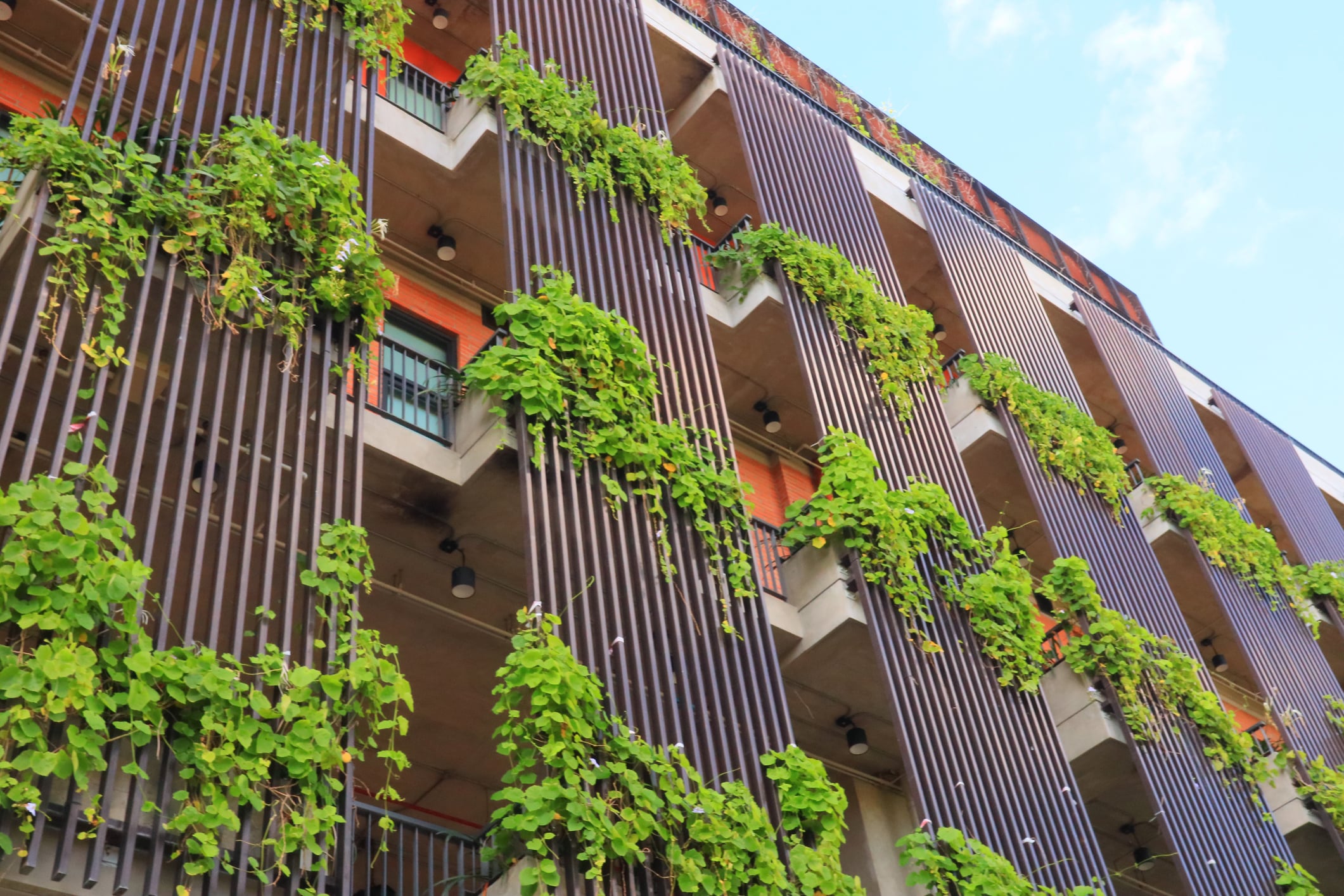 Sustainable Hotel Operations Win Corporate Travel Business