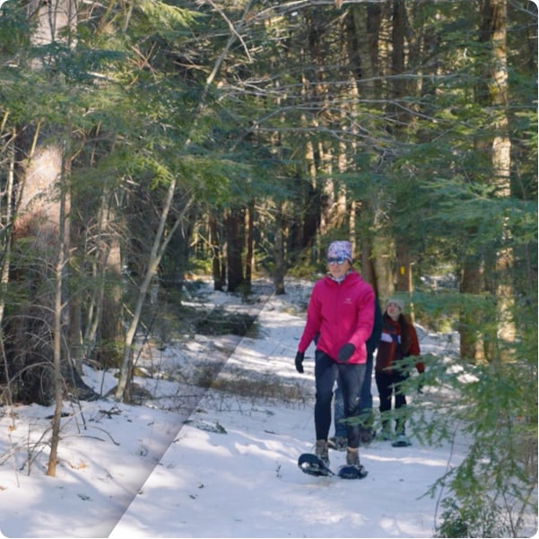 Lafayette Hotels, Nordic Village